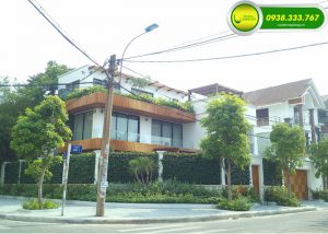 THI CÔNG TƯỜNG CÂY BIỆT THỰ TRUNG SƠN