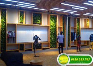 THI CÔNG TƯỜNG CÂY SHOWROOM THỜI TRANG