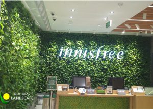 VƯỜN THẲNG ĐỨNG CỬA HÀNG INNISFREE
