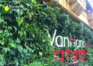 THI CÔNG MẮNG TƯỜNG XANH TẠI VẠN HẠNH MALL