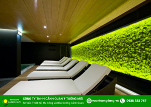 LỢI ÍCH TƯỜNG RÊU TRONG NHÀ MANG LẠI