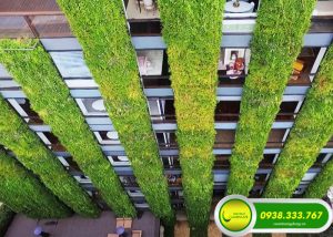 KHU VƯỜN THẲNG ĐỨNG LỚN NHẤT THẾ GIỚI