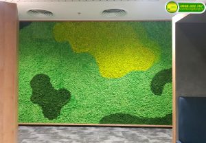 TƯỜNG RÊU NỘI THẤT VĂN PHÒNG- HÀ NỘI