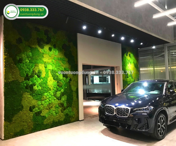 THI CÔNG TƯỜNG RÊU SHOWROOM BMW BÌNH DƯƠNG